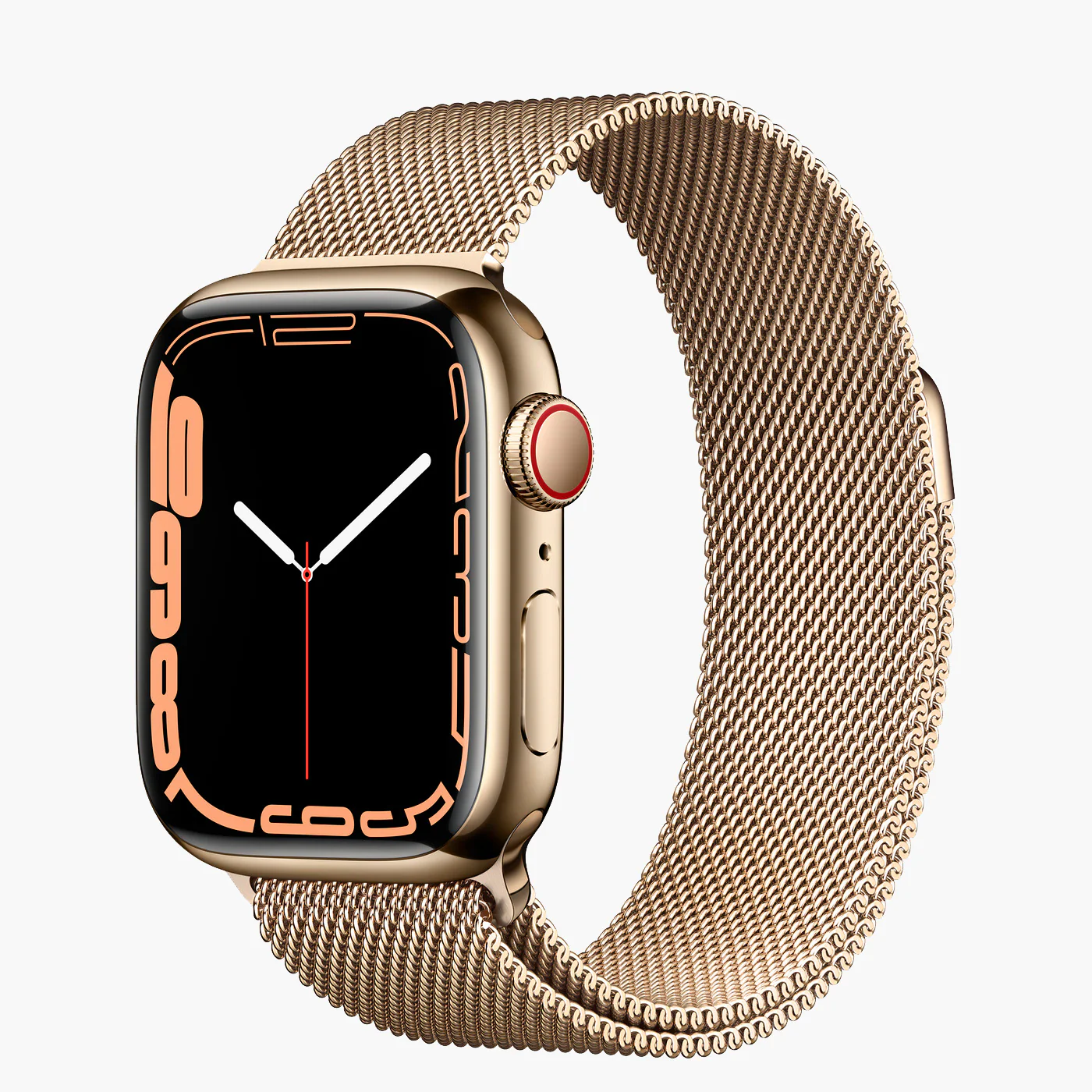 Apple Band Model 1